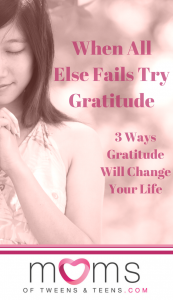 gratitude, gratitude and appreciation