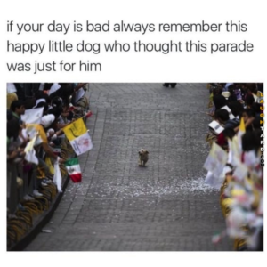 funny mom and parenting memes