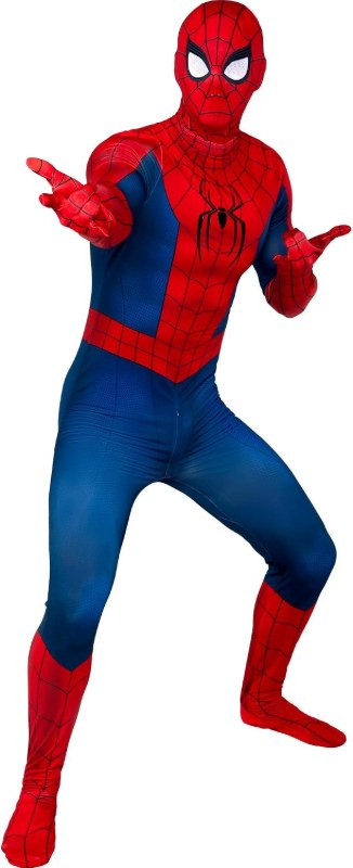 Spider-Man Halloween costume for tweens and teens
